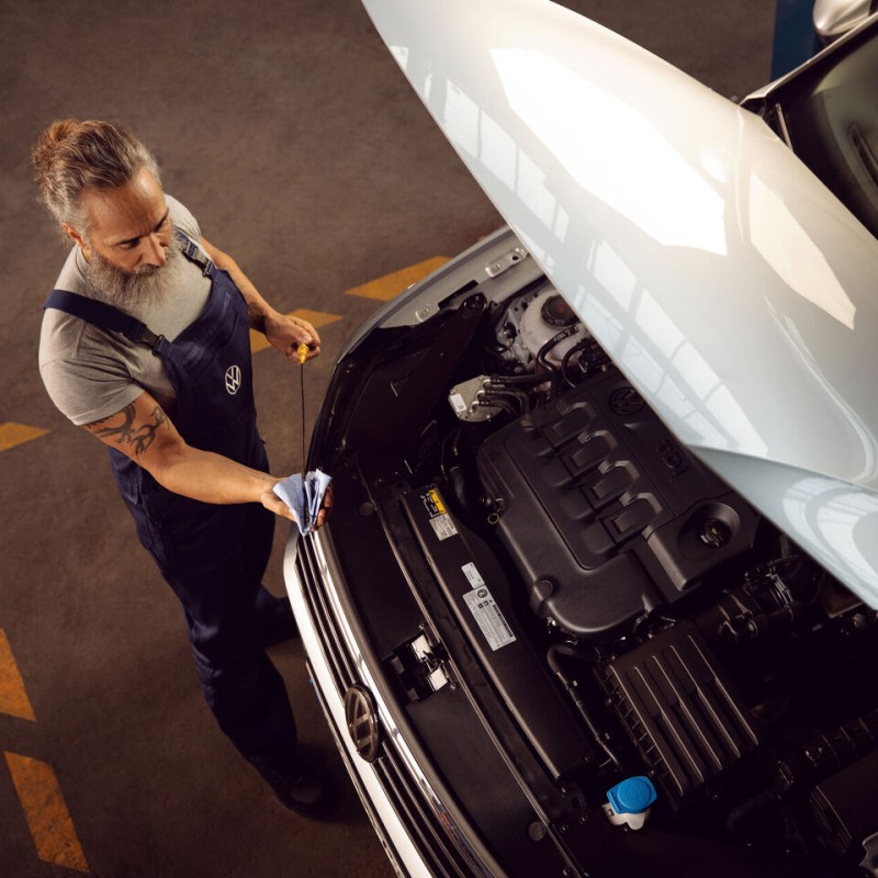 Inšpekčný olejový servis